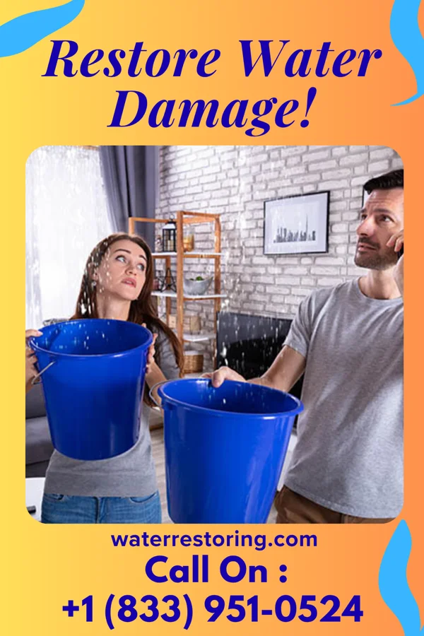 water restoration United Damage Recovery Masters Edmonston