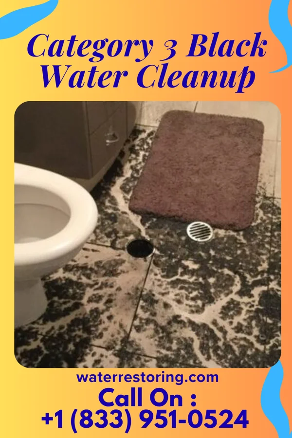 Category 3 Black Water Cleanup in Edmonston, MD