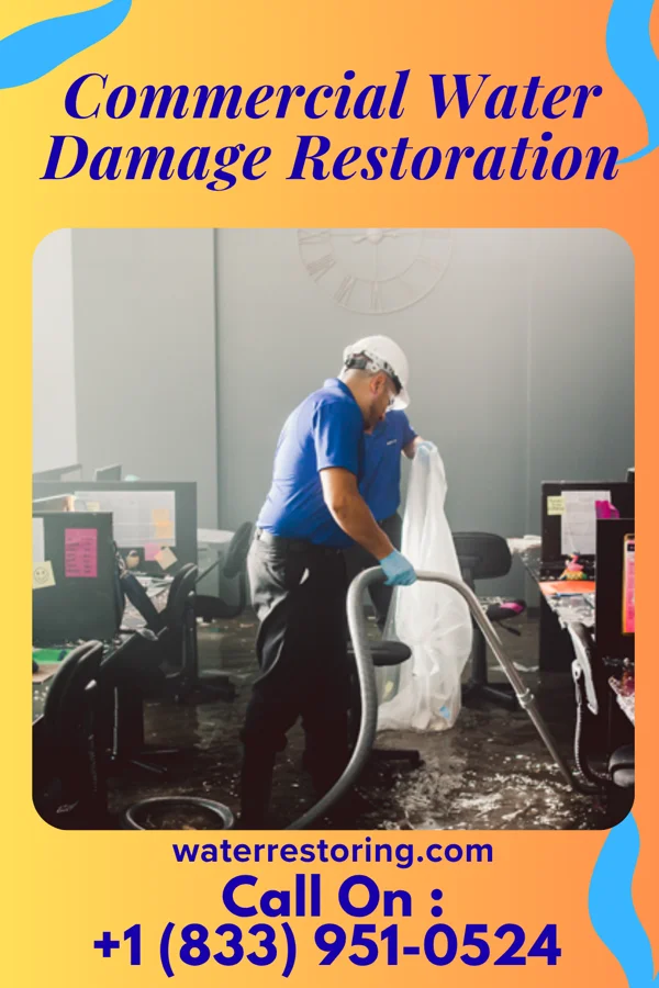 Commercial Water Damage Restoration in Edmonston, MD