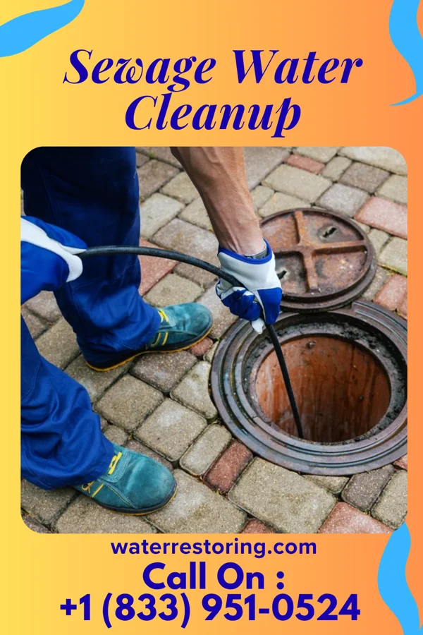 Sewage Water Cleanup in Edmonston, MD