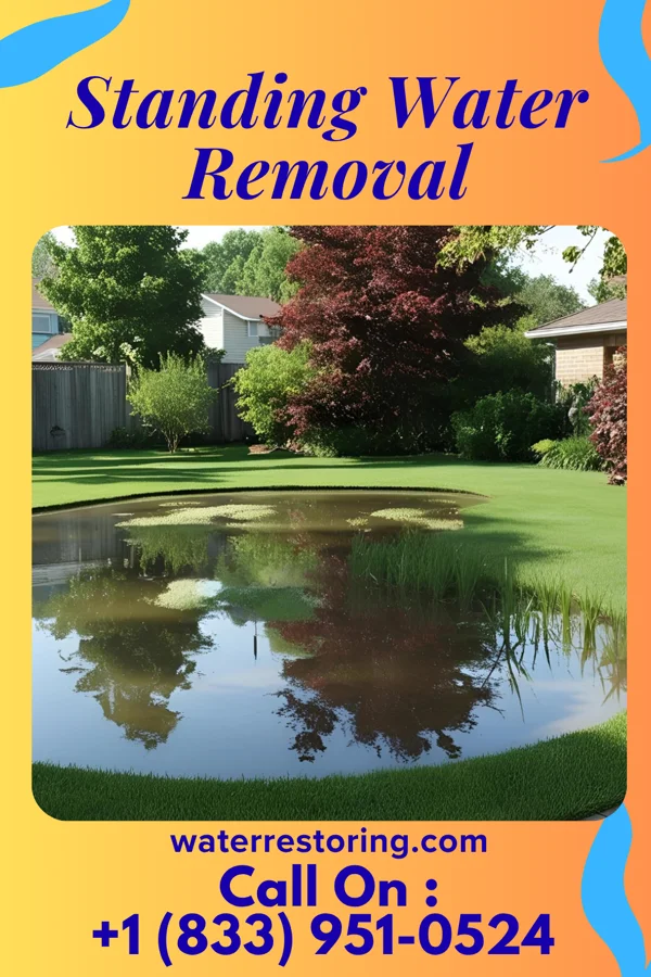 Standing Water Removal in Edmonston, MD